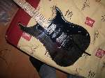 Excalibur Custom Black Diamond Vigier Excalibur